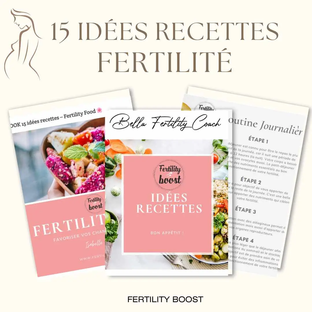 Le e-book avec 15 idées recettes fertilité